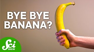 The Terrifying Truth About Bananas