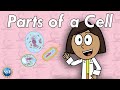 What Are Cells Science For Kids