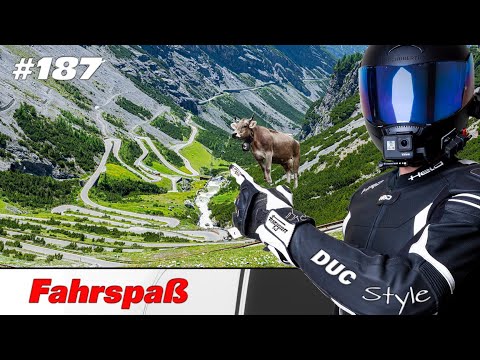 Alpine tour | awesome | up the Stelvio Pass / straight back 😁👍