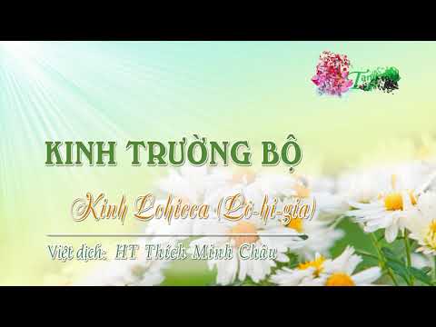 12. Kinh Lô-hi-gia (Lohicca sutta)