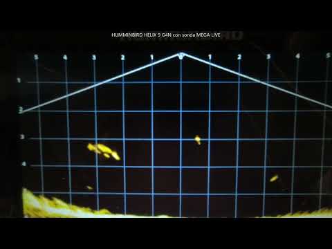 Humminbird Mega Live vs catfish in the river - belly boat winter session