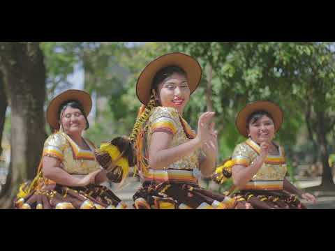 LOS DELFINES DEL AMOR - A SAO PAULO ME IRE ( SALAY PRIMICIA 2021 )