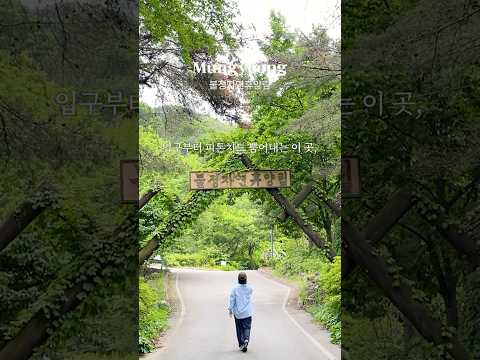 숲 속 작은 집, 힐링 풀코스 #불정자연휴양림