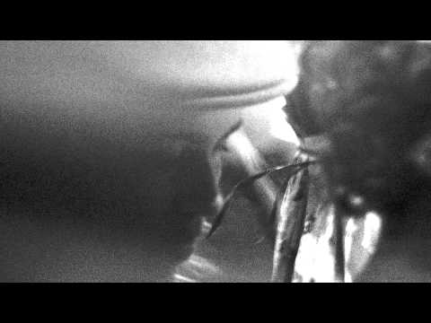 Coração Leviano - Paulinho da Viola, ao estilo de Djavan - cover à capela