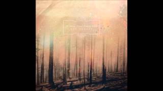 If These Trees Could Talk - Barren Lands Of The Modern Dinosaur