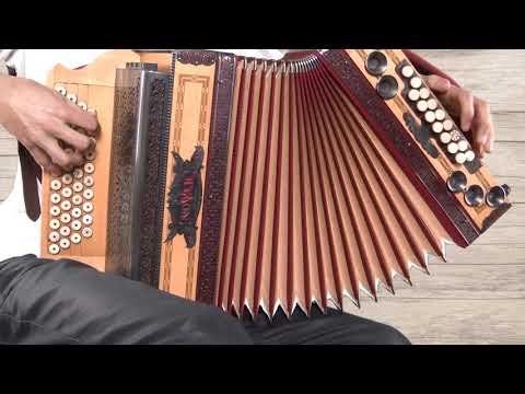 Ziachfuchs  ,,Rainer Marsch''