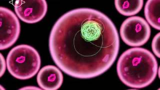 Björk / Scott Snibbe & M/M (Paris) - Virus from Biophilia App, 2011