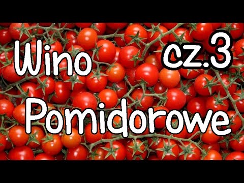 Wino Pomidorowe z Chili i ziołami - cz.3