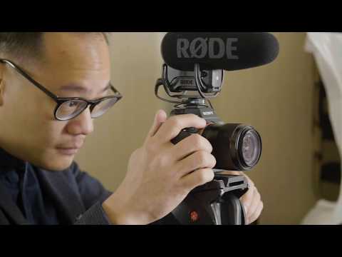Rode VideoMic Pro+ Camera-mount Shotgun Microphone | Sweetwater Rode VideoMic Pro+ Camera-mount Shotgun Microphone | Sweetwater
