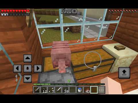 Wir Haben ein Gürteltier [22]