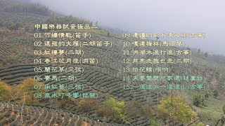 中國樂器試音極品二 中國樂器試音極品二