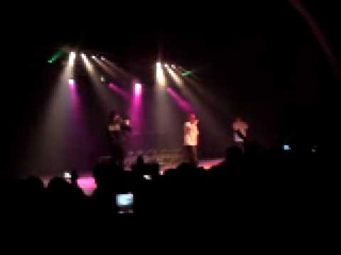 unikkatil ne zvicerr 09