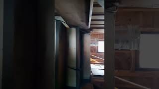 BIG BLACK SNAKE IN MY HOUSE !!