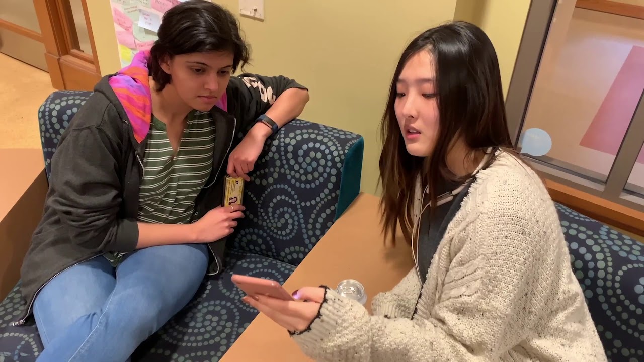 PAWLs Smart Kennel Concept Video