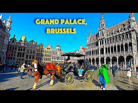 🇧🇪 Grand Place (Grote Markt) |  Belgium | Brussels🇧🇪
