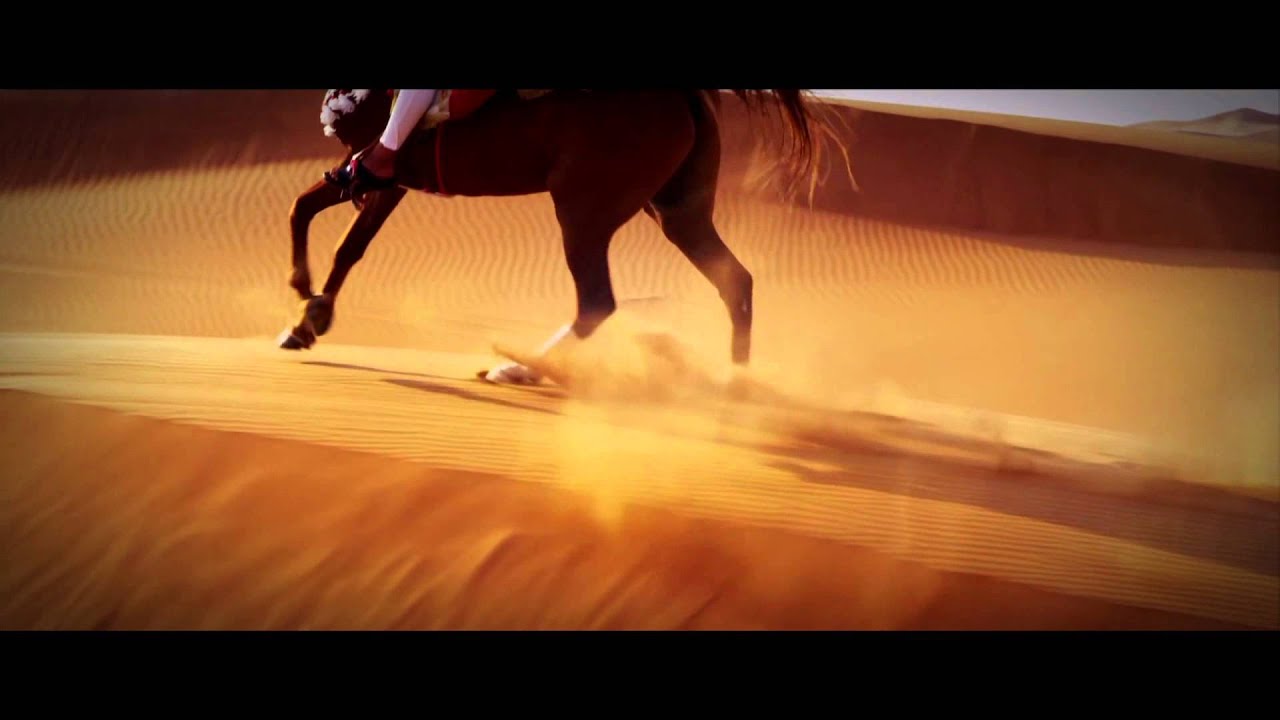 Promoted: Dubai Tour Promo - YouTube
