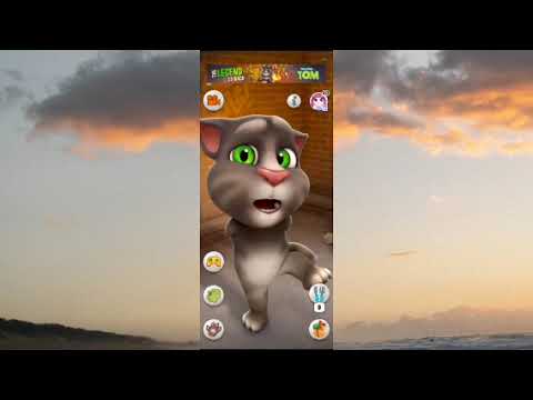 Tom the supermodel -- 1 😂🤣 funny Cat videos