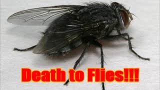 Homestead Fly Trap