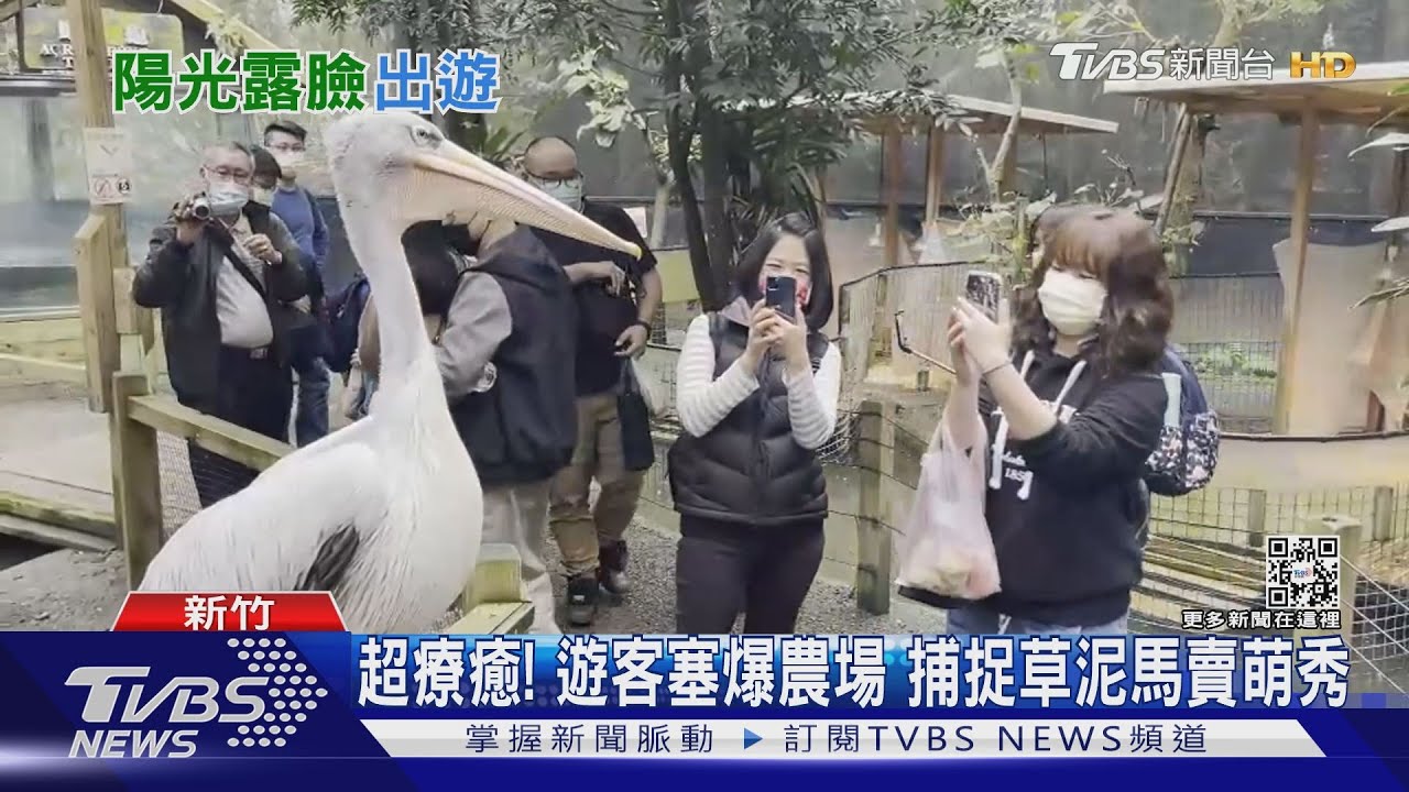 終於沒下雨了!宜蘭連假首日陽光露臉 超夯景點湧人潮