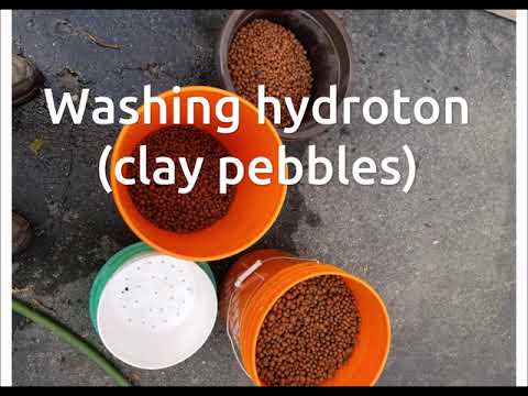 Preparing Clay Pebbles For Ebb And Flow Hydroponics