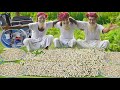 2000 Quail Eggs Khichdi Recipe For Autistic Old Age Poor Disabled People Of Village Community