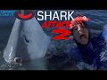Shark Attack 2 2000 Carnage Count