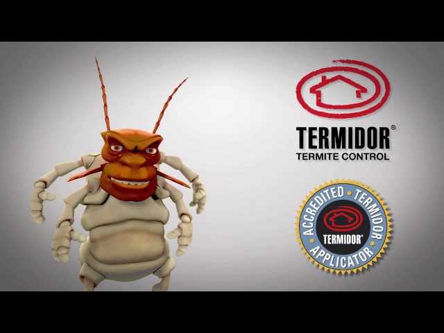 POD's Pest Control - Garbutt, QLD
