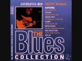 Louisiana Red (1932-2012) - ''Pretty Woman''  -The Blues Collection-  (1996)