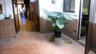 1500 RESTAURANTE BLANES