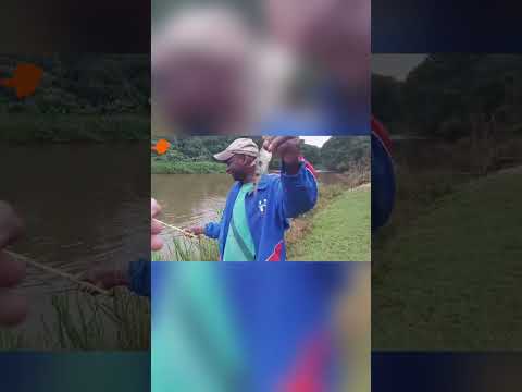 Pesca na Cachoeira Maria Joana: Lugar Surpreendente em Minas Gerais! #shorts #pescariaanimada