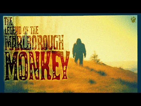 The Legend of the Marlborough Monkey  - Cryptozoology Documentary 2021
