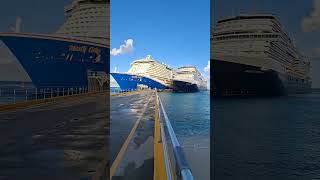 come for the fun stay for the culture #cruisedestination #turksandcaicosisland