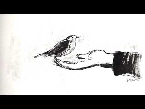 Lipeh Alves - Rouxinol