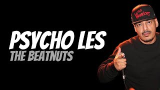 Psycho Les (The Beatnuts) | Hip Hop Interview (2012) - Queens, NY | TheBeeShine