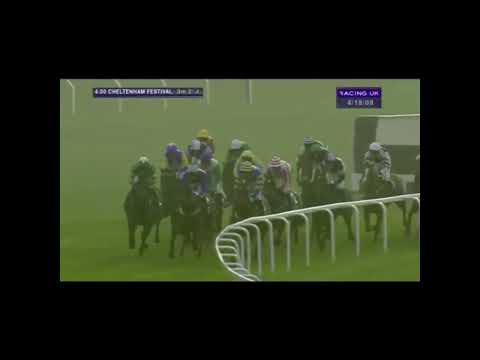 2014 CGA Foxhunter Chase - Cheltenham Festival