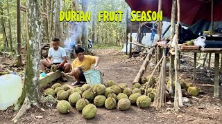 Download lagu Part-2 ||Durian Fruit Season Spending the Night Fishing and waiting for the durian to collapse mp3