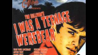 I Was A Teenage Werebear Soundtrack - 02 Don&#39;t Look Away