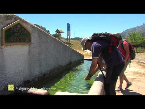 El agua en la Gran Senda de Mlaga. Etapas 4 a 10