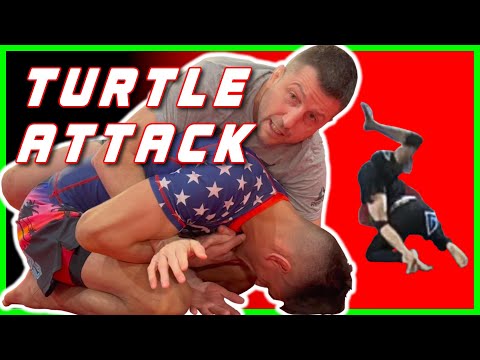 Turtle Position... What to do!