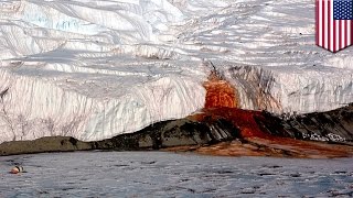 Antarctica: Mystery of Blood Falls solved by US scientists; red color is iron, not algae - TomoNews