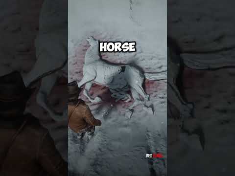 4 Secrets you MISSED in Red Dead Redemption 2