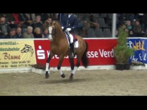 Lissaro von Lissabon / Matcho AA