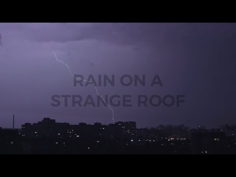 Anthony D'Amato - Rain On A Strange Roof [Lyric Video]