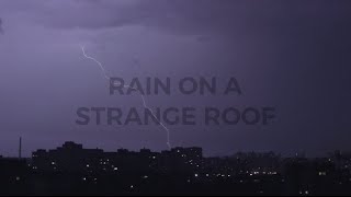Anthony D'Amato - Rain On A Strange Roof [Lyric Video]