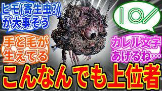【Bloodborne】メンシスの脳みそってこんなんでも上位者なんだよな…【ブラッドボーン】