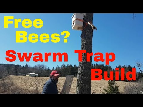 Swarm Trap Build Part 1