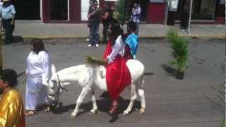 preview picture of video 'Domingo de ramos en Apaseo el Alto Guanajuato'