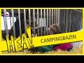 HEA!: Drukke campingbazin