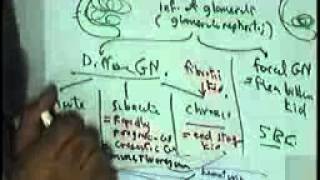 systemic pathology: renal system 1 glomerular dis DR SAMEH GHAZY