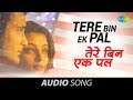 Tere Bin Ek Pal Full Song Udit Narayan Jaspinder Narula Aa Ab Laut Chalen 1999